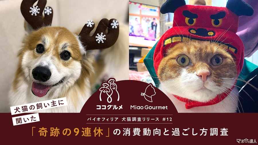 9連休の年末年始、愛犬愛猫とどう過ごす？ ペットフードは「プチ贅沢」傾向