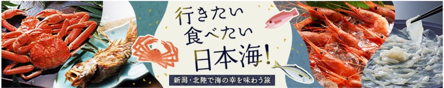 「びゅうダイナミックレールパック」割引クーポン配布中！最大8000円OFF！ふるさと納税で実質2000円