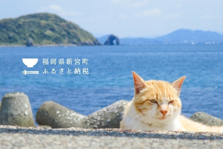 福岡県新宮町のふるさと納税返礼品に「MENTIE」の明太子が採用