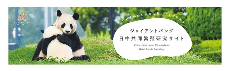 アドベンチャーワールド定員100名の「パンダファミリーファン感謝DAY」再び開催(2/26)
