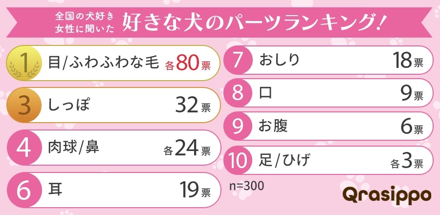 犬好き女性が選ぶ！魅力的な犬のパーツランキング