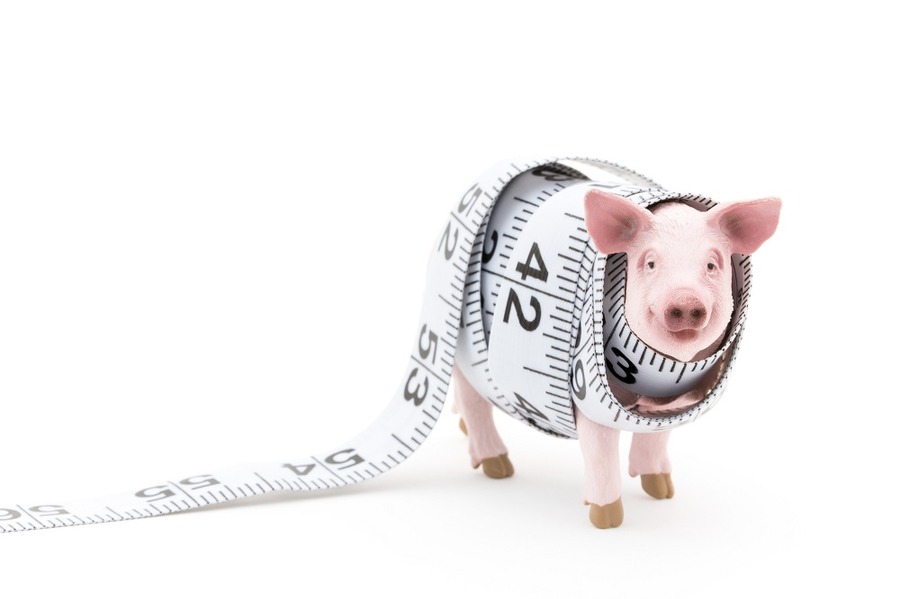 ダイエットに成功する人は、お金を増やすこともできる　その共通点とは？