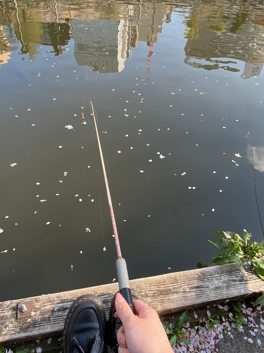 若手日本画家が描く現代の花鳥風月　日本橋にて展示開催
