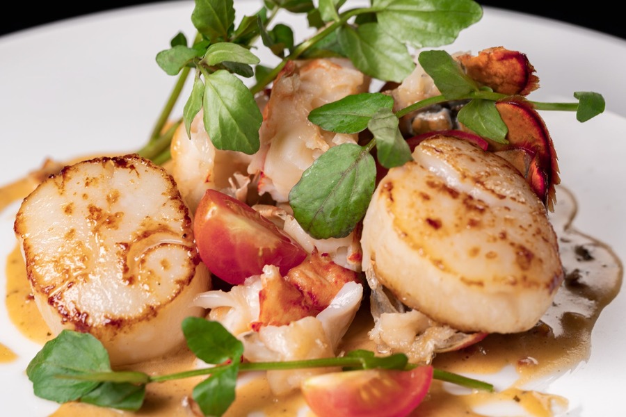 六本木のサブスクフレンチ、1月の新メニュー発表