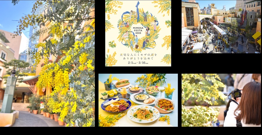 川崎で春を告げるミモザフェスタ2025開催(2/5-3/16)