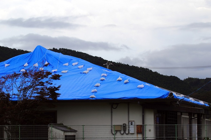 【損害賠償責任】火災保険と切り離して考える「個人賠償責任保険」で注意すべき点