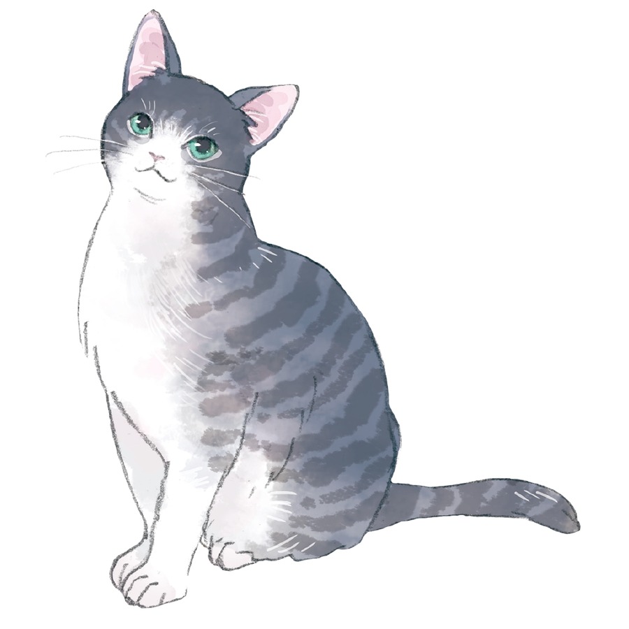 猫をテーマにした作品多数「猫大集合フェア」開催！【ことのは文庫の魅力】