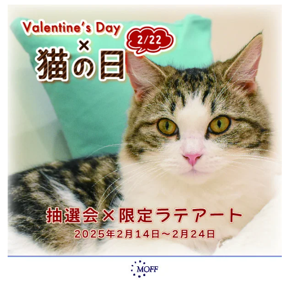 静岡PARCOで猫とお茶の特別イベント開催(2/1-24)