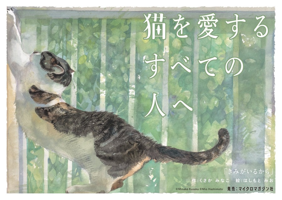 【猫を愛する全ての人へ】絵本「きみがいるから」原画展、佐賀で開催