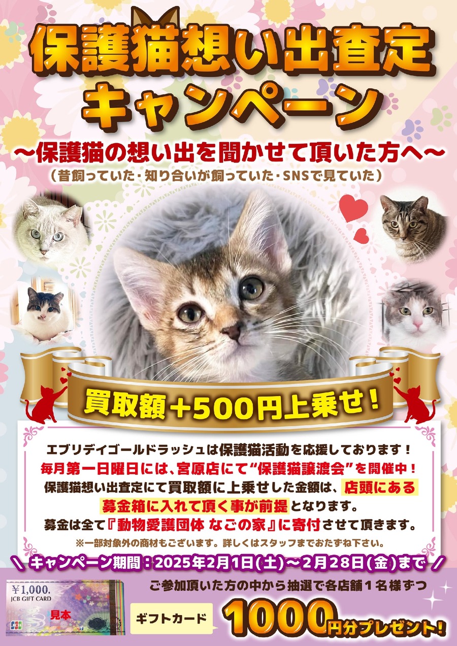 埼玉「ブランド品、貴金属の買取店」8店舗にて保護猫支援キャンペーン開催