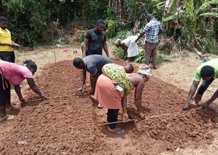 希少な海外プレミアムチョコのイベント開催　「あべのハルカス近鉄本店、ピオレ姫路、チョコレート ミュージアム」にて