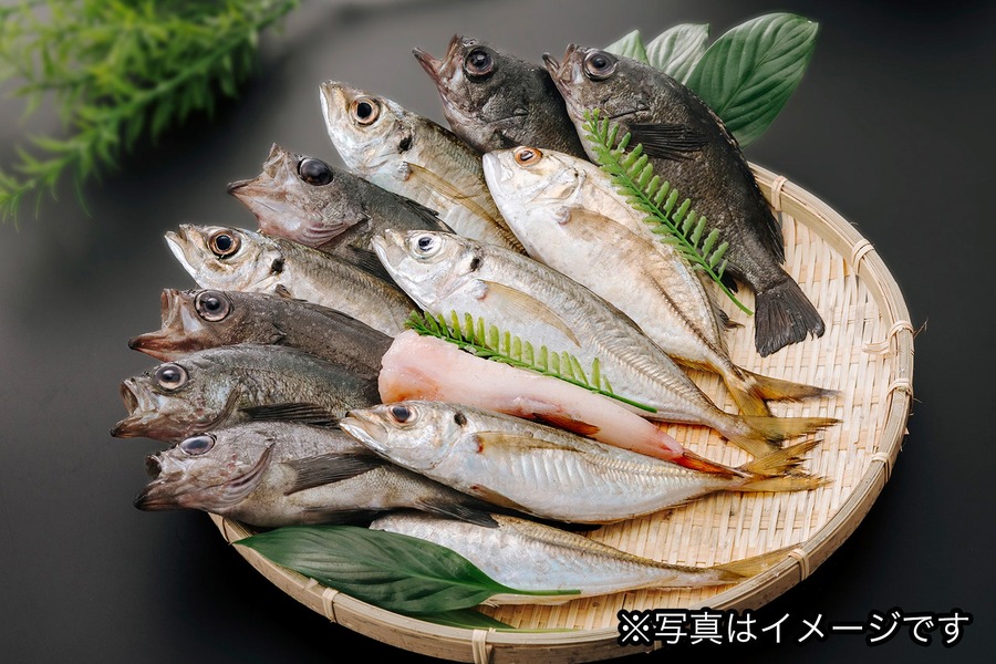 【山口県上関町】観光PRスタンプラリー（2/1-3/9）車海老300g・入泉券・食事券など当たる！