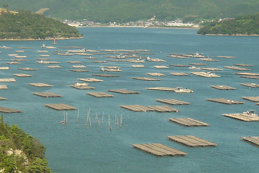 合計106店舗で1個100円！「今だけ！兵庫県産生牡蠣破格値」キャンペーン(2/1-28)