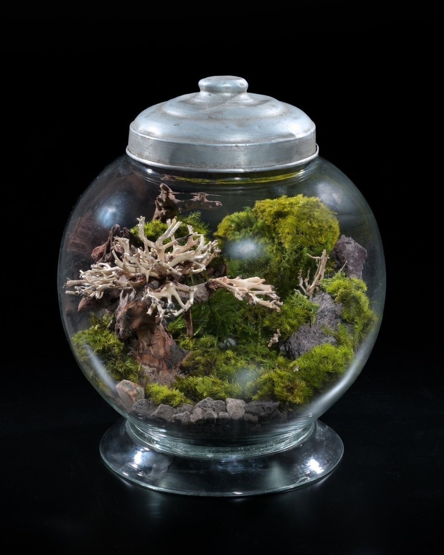 川崎駅周辺の街全体がミモザイエローに染まる（2/5-3/16）