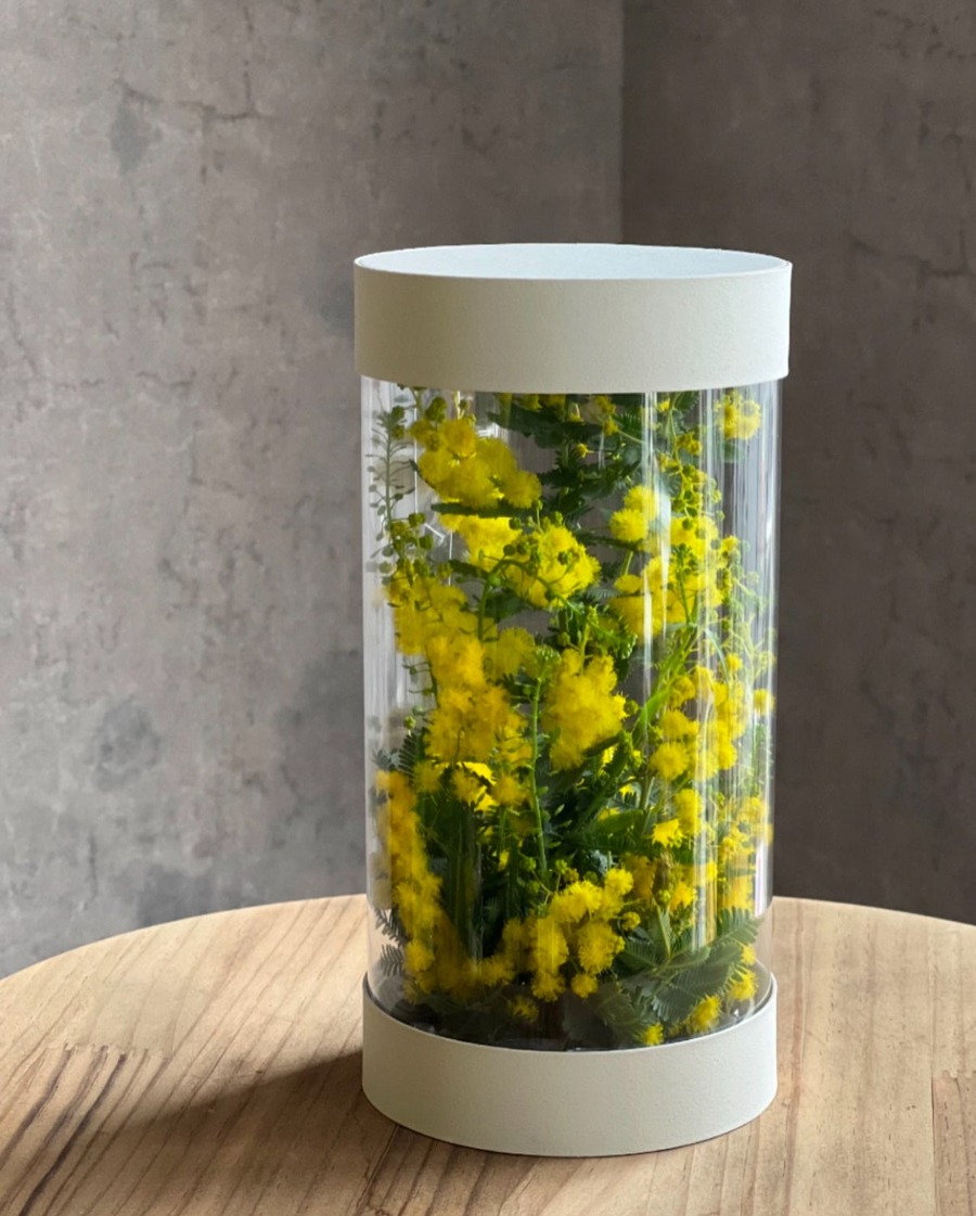 川崎駅周辺の街全体がミモザイエローに染まる（2/5-3/16）