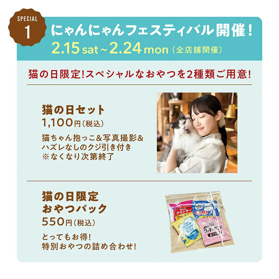 猫カフェMOCHA、10周年記念ありがとうキャンペーン開催