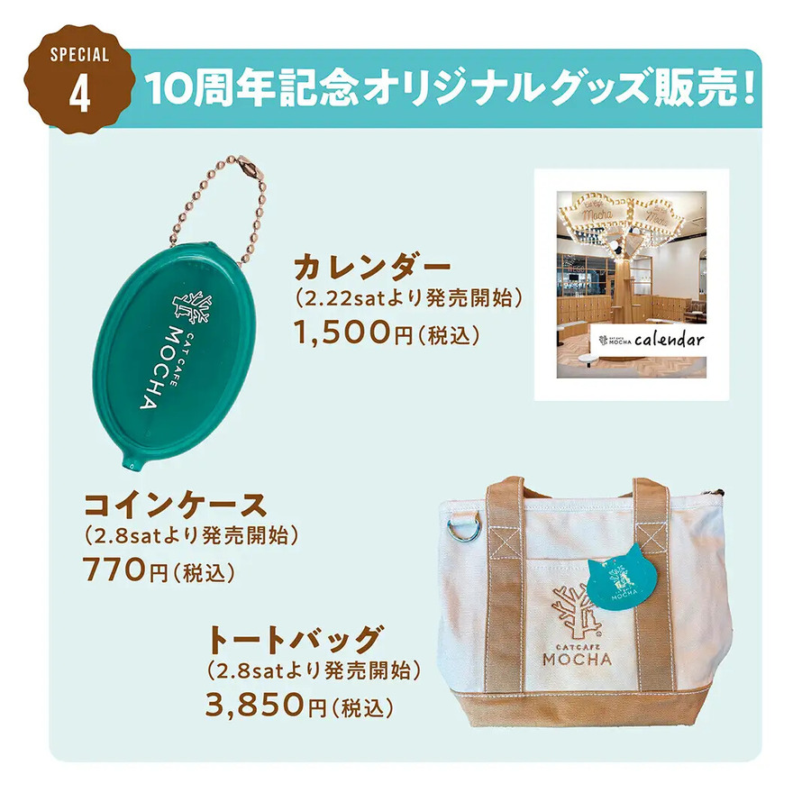 猫カフェMOCHA、10周年記念ありがとうキャンペーン開催