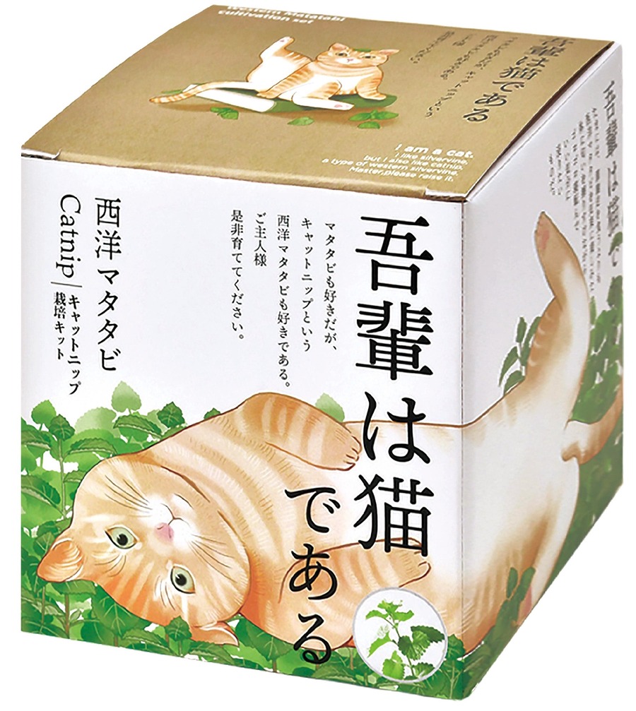 かわいい！猫モチーフでネコ草やハーブを栽培　キット5商品発売【聖新陶芸】