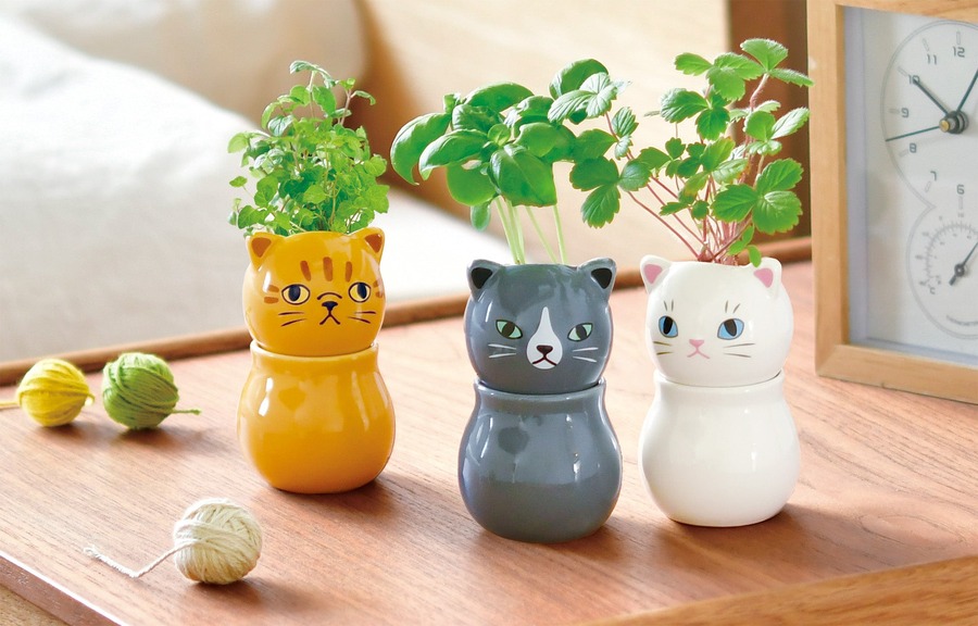 かわいい！猫モチーフでネコ草やハーブを栽培　キット5商品発売【聖新陶芸】