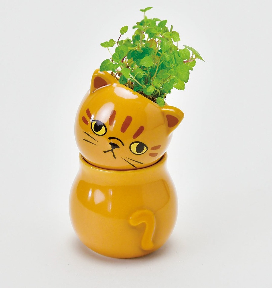 かわいい！猫モチーフでネコ草やハーブを栽培　キット5商品発売【聖新陶芸】