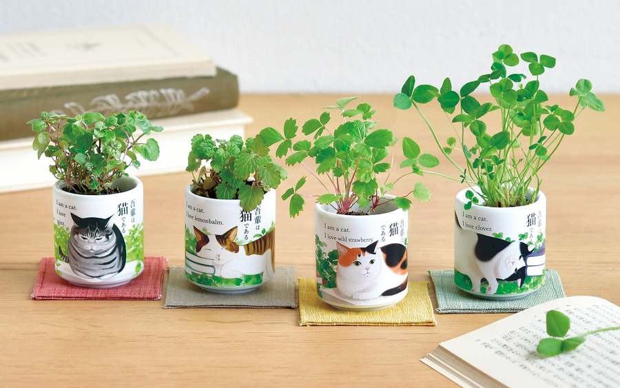 かわいい！猫モチーフでネコ草やハーブを栽培　キット5商品発売【聖新陶芸】
