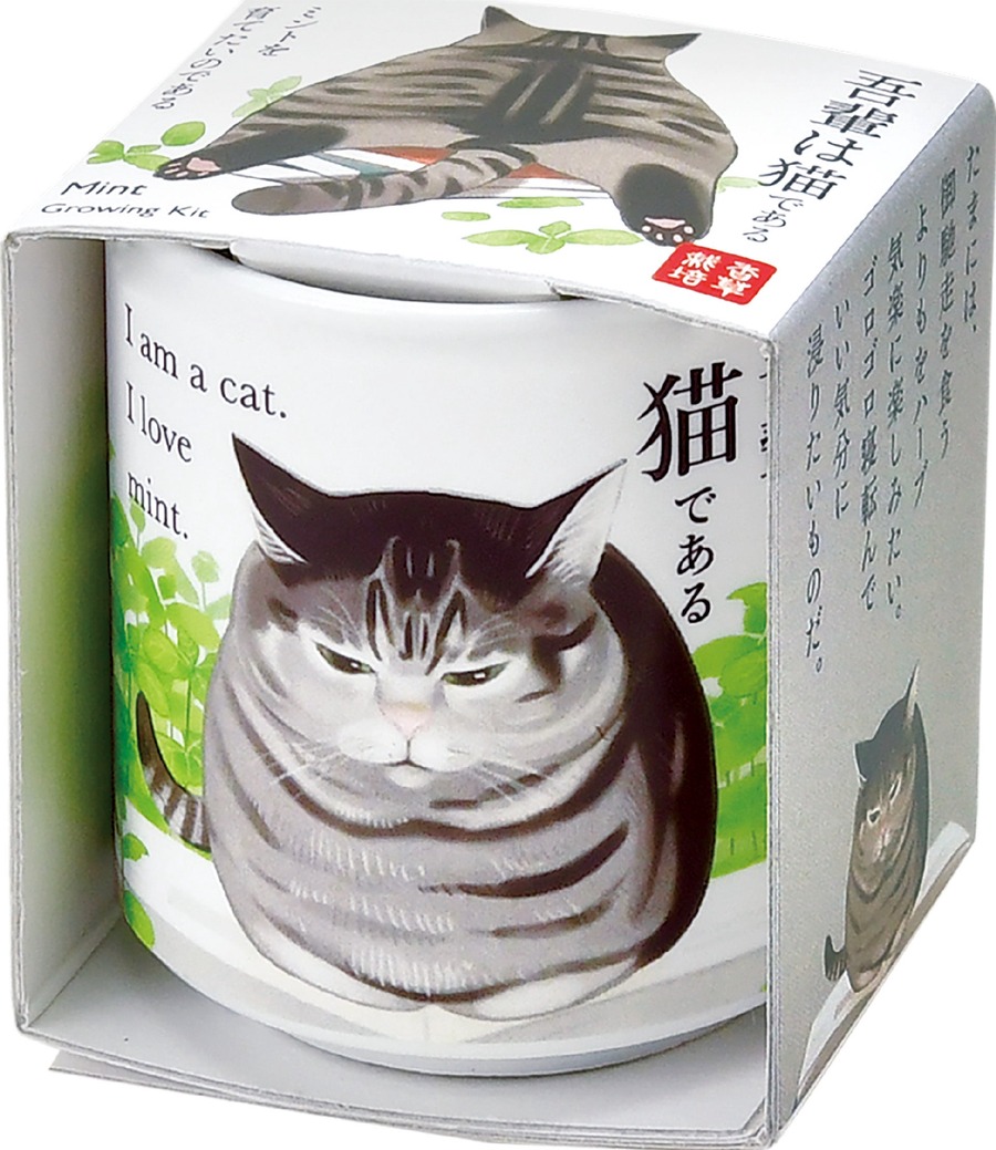 かわいい！猫モチーフでネコ草やハーブを栽培　キット5商品発売【聖新陶芸】