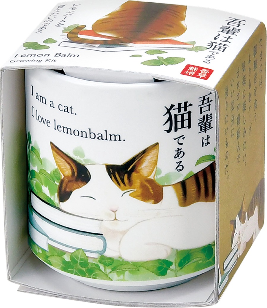 かわいい！猫モチーフでネコ草やハーブを栽培　キット5商品発売【聖新陶芸】