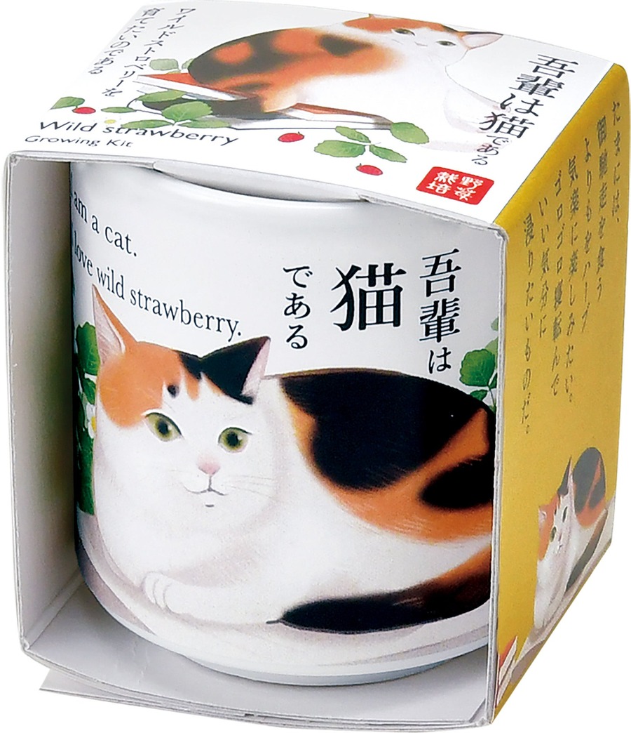 かわいい！猫モチーフでネコ草やハーブを栽培　キット5商品発売【聖新陶芸】