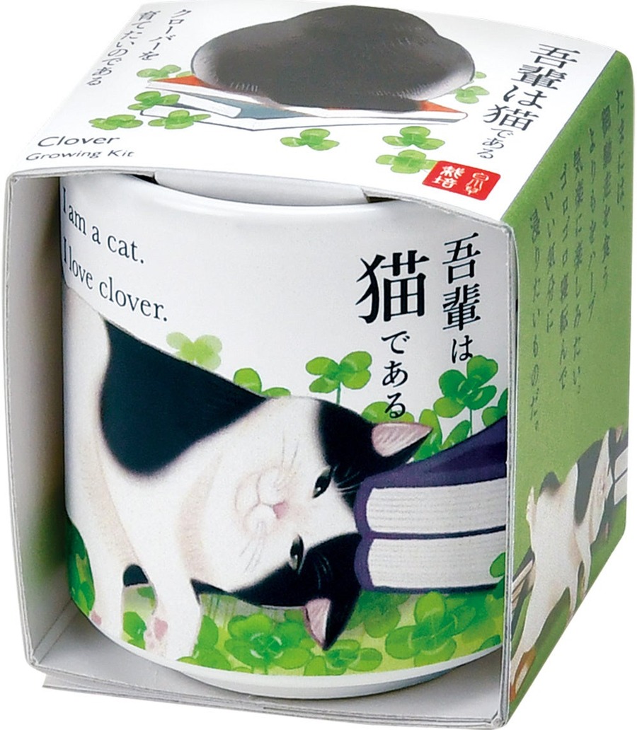 かわいい！猫モチーフでネコ草やハーブを栽培　キット5商品発売【聖新陶芸】