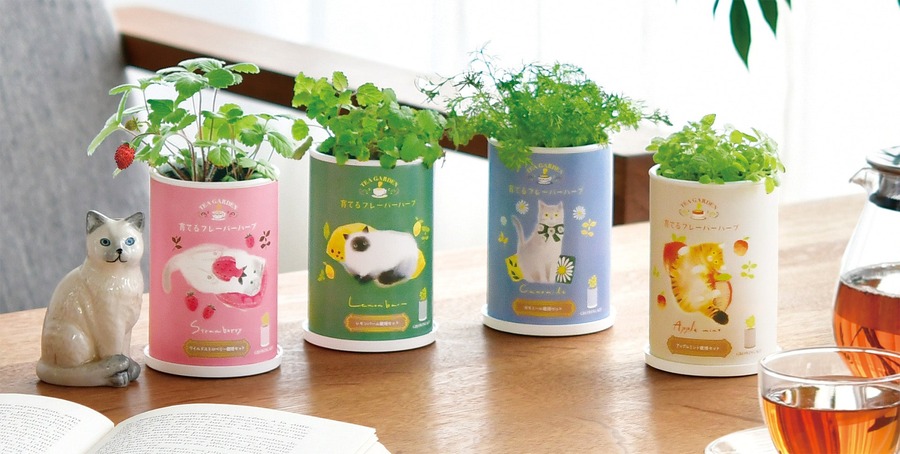かわいい！猫モチーフでネコ草やハーブを栽培　キット5商品発売【聖新陶芸】