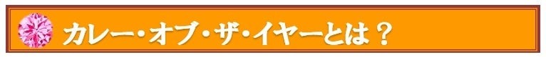 カレー・オブ・ザ・イヤー2025発表　カレー総合研究所が運営する「カレー大學」より