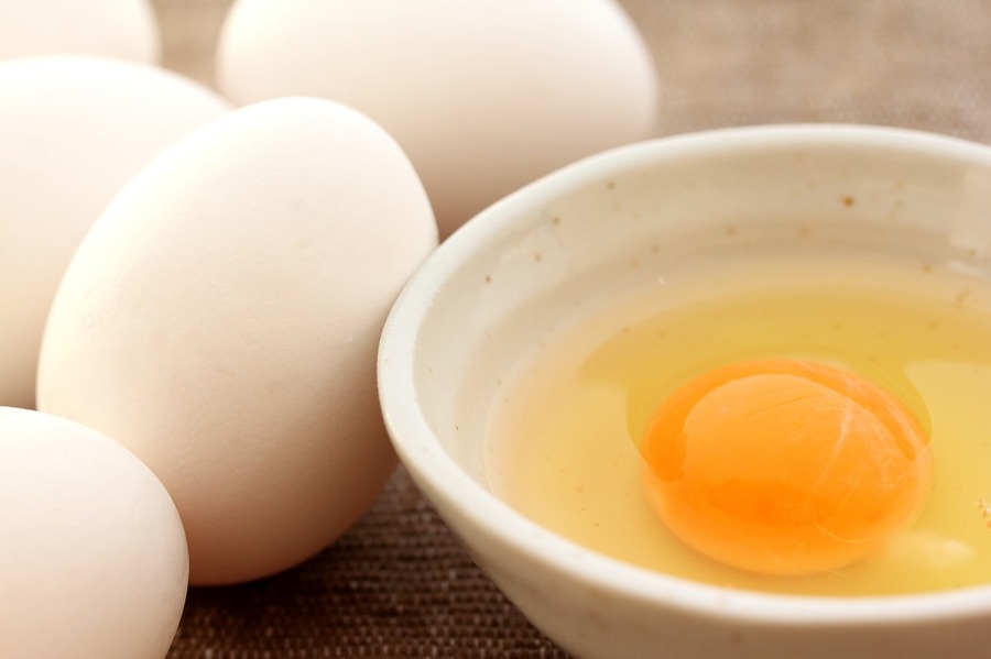 節約食材で「糖質制限ダイエット」　支出もお腹もスリムになります　