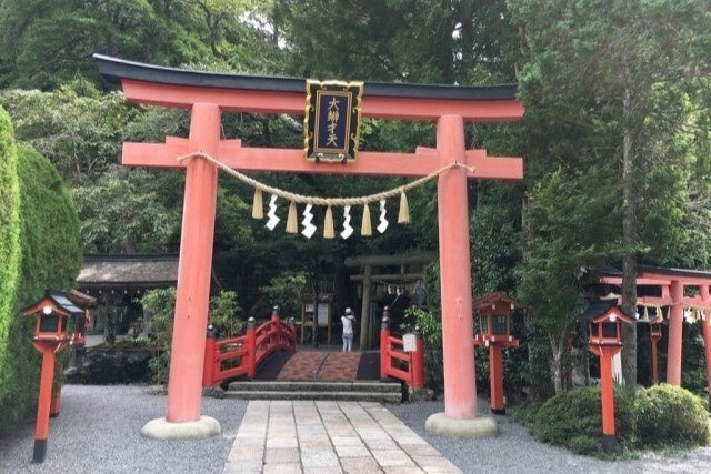 初詣の祈願内容1位は「無病息災」　2025年の開運・金運神社TOP5を発表