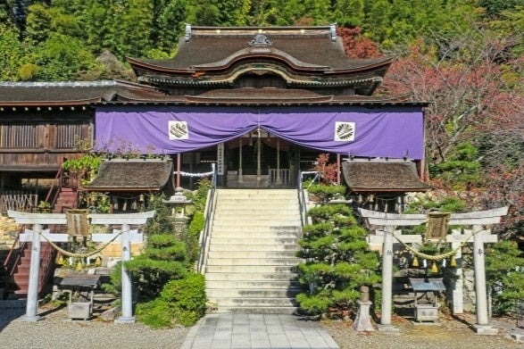 初詣の祈願内容1位は「無病息災」　2025年の開運・金運神社TOP5を発表