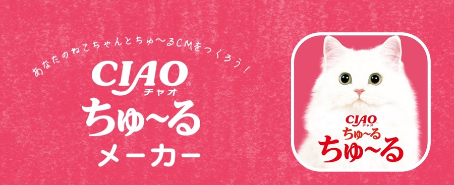 ちゅ～るで世界中の猫がCMデビュー！