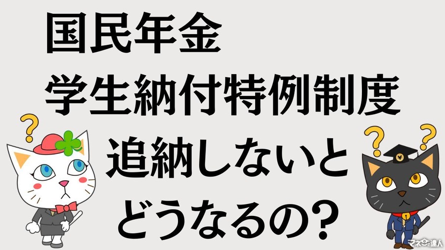 国民年金【学生納付特例制度】追納しないと損する理由を解説