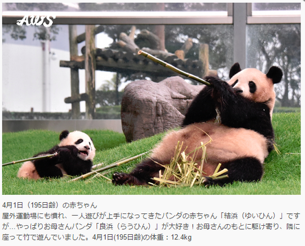 1泊2食7,500円～「湯快リゾート」に行ってきました。子連れ旅行にはコスパも満足度もサイコー！