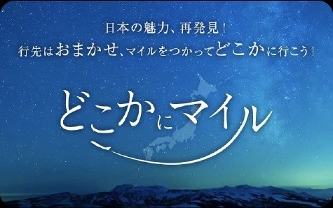 マイルが貯まる格安SIM「JALモバイル」爆誕！　国内線航空券への交換もお得にできて陸マイラー要注目