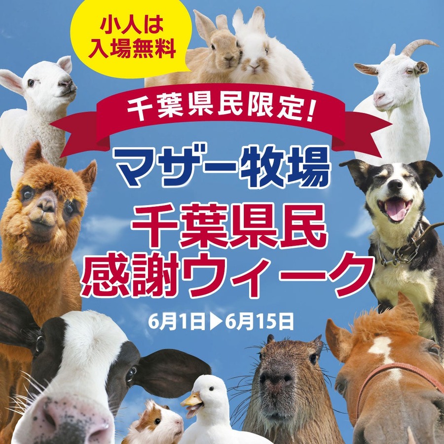 6/15は「千葉県民の日」　鴨川シーワールドでは入館料割引、マザー牧場は子ども入場無料！