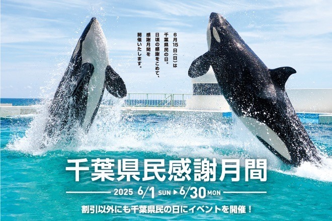 6/15は「千葉県民の日」　鴨川シーワールドでは入館料割引、マザー牧場は子ども入場無料！