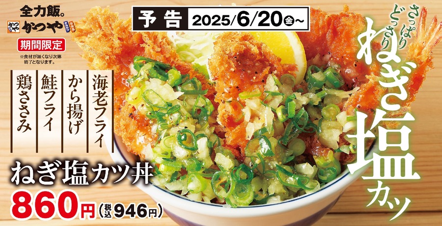 夏バテ知らず！かつやの「ねぎ塩カツ丼」が旨すぎ注意！！青ねぎ＆塩ダレで食欲爆上がり！