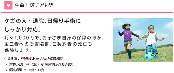 3歳の娘が10日入院して感じた保険の必要性。収入減や思わぬ出費が大きな痛手となりました。