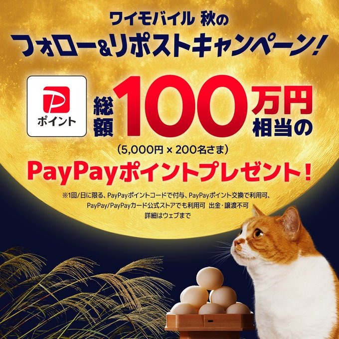 9/22~ PayPayポイント2,000円相当が500名に当選！ワイモバイルXキャンペーン