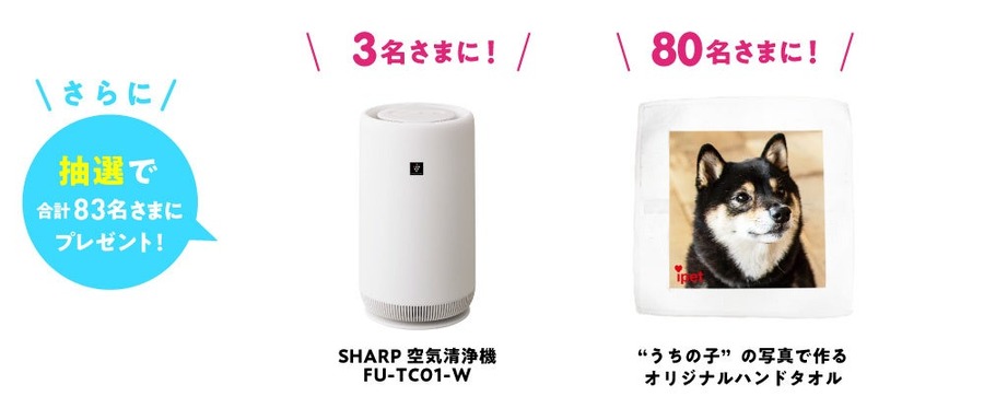 ペット保険加入でタリーズギフトなど当たるキャンペーン開催！アイペット損害保険