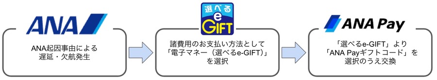 「ANA Pay」にギフトコード機能を追加 インセンティブやANA便の補償にも活用