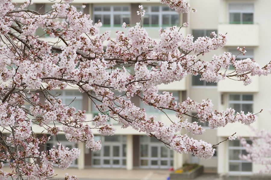 我が家の「中学受験」奮闘記（大誤算編）　お受験費用、合計で一体いくらかかったのかお話しします
