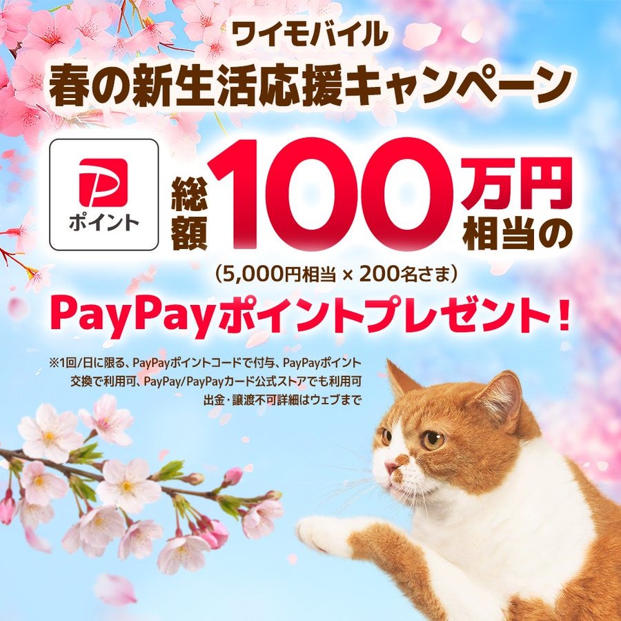 ワイモバイル「春の新生活応援」抽選で500名にPayPayポイント2,000円分を付与
