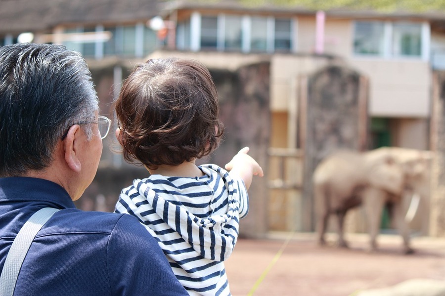 60歳になったら「シニア割」を確認しないと損。「大人料金が半額」「5％オフで買い物」電車も飛行機も安くなる。