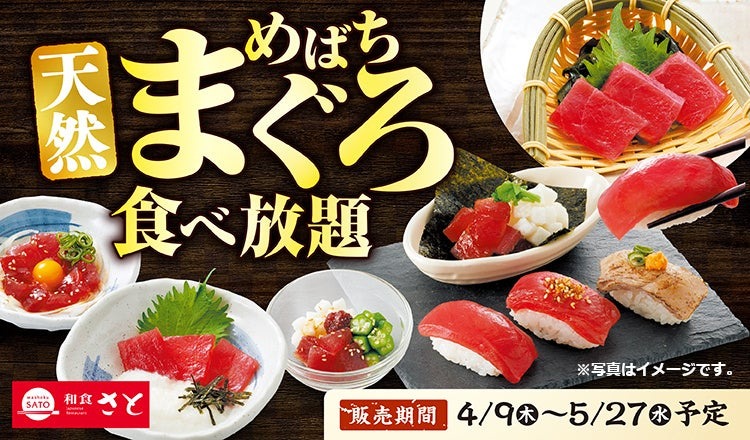 【和食さと】期間限定「天然めばちまぐろ食べ放題コース」を4月9日より全国201店舗で提供開始