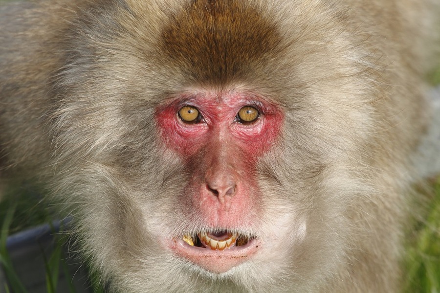 株価に影響を及ぼす大きな要因の1つは「予想」と「現実」のギャップ。